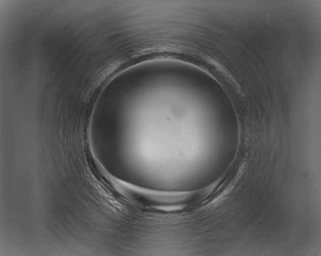 X0000054440977200507291313