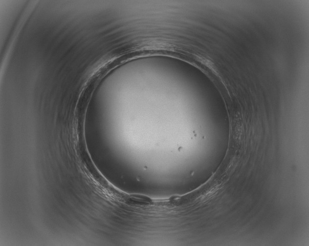 X0000054440979200507291313
