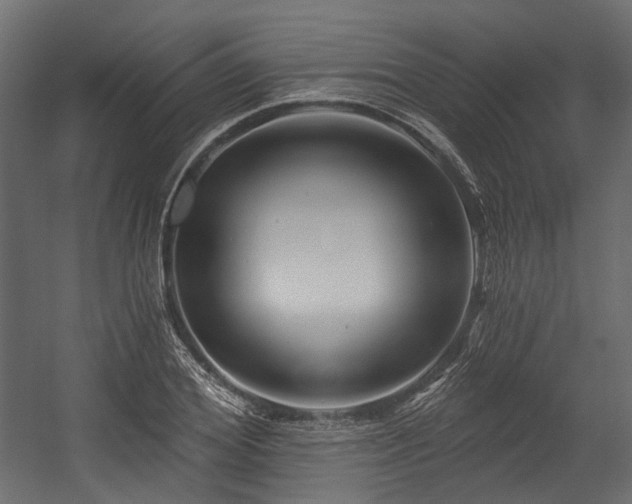 X0000054440980200507291313