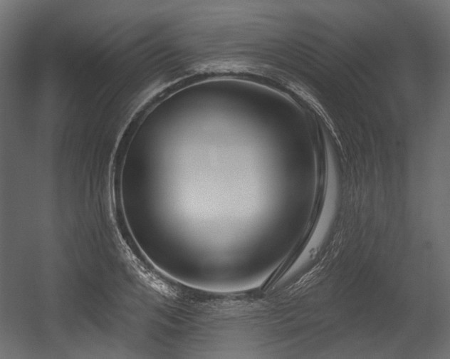 X0000054440984200507291313