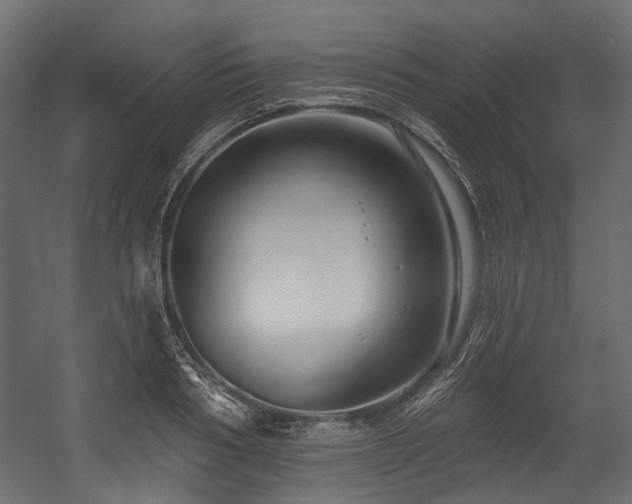 X0000054440986200507291313