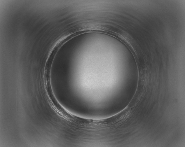 X0000054440987200507291313