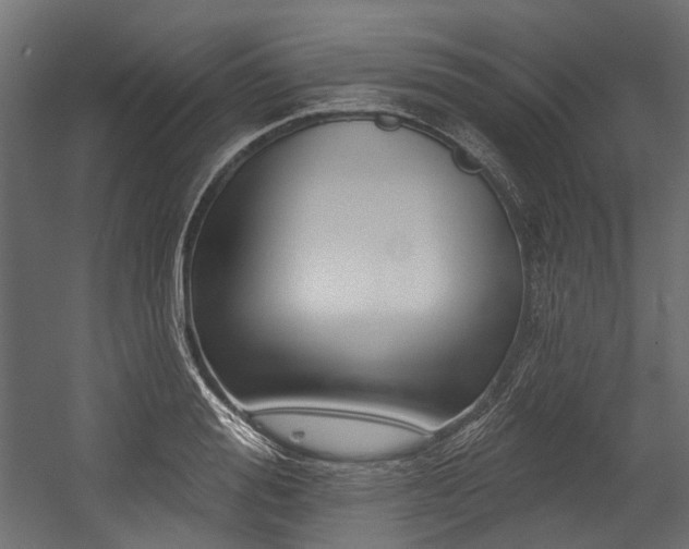 X0000054440988200507291313