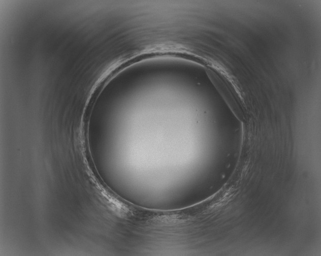 X0000054440990200507291313