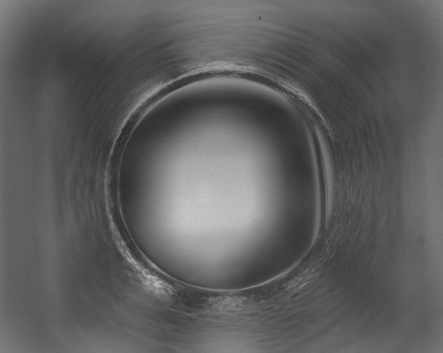 X0000054440991200507291313