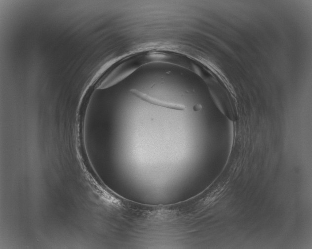 X0000054440992200507291313