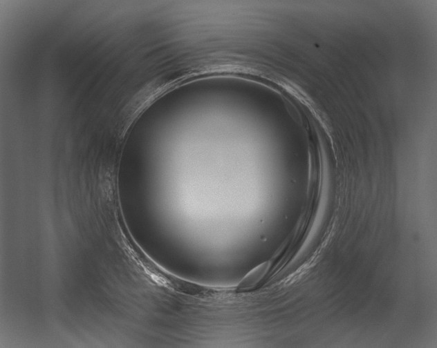 X0000054440993200507291313