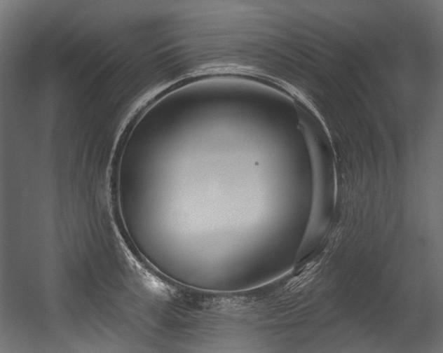 X0000054440995200507291313