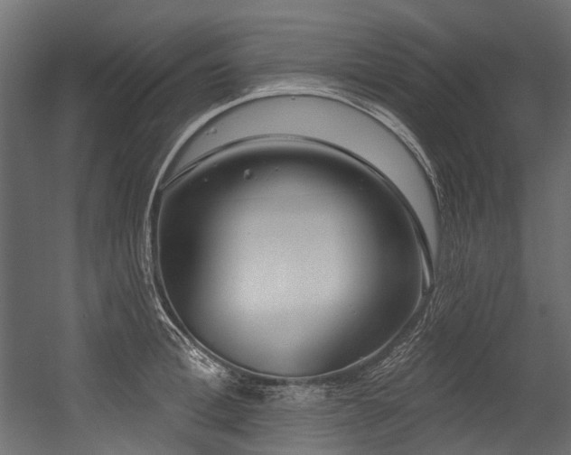 X0000054440996200507291313