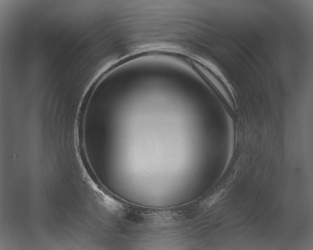 X0000054440999200507291313