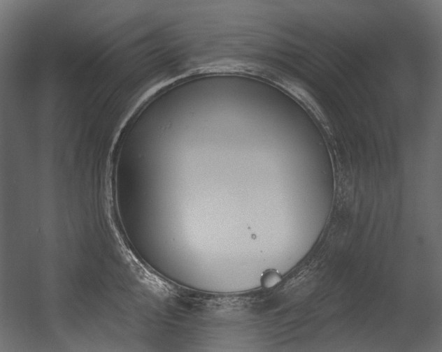 X0000054441000200507291313