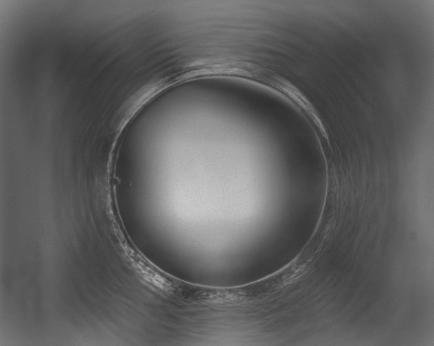 X0000054441002200507291313