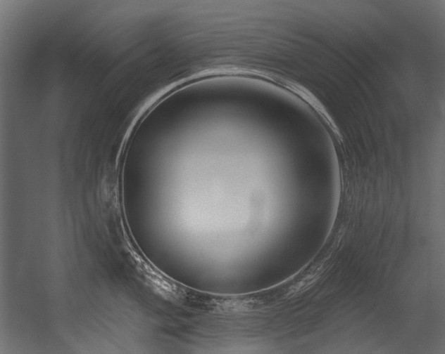 X0000054441004200507291313