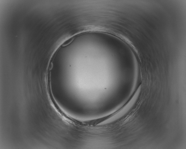 X0000054441007200507291313
