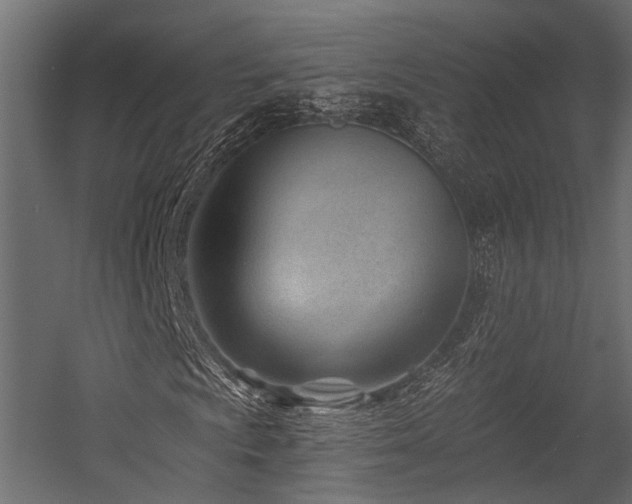 X0000054441009200507291312