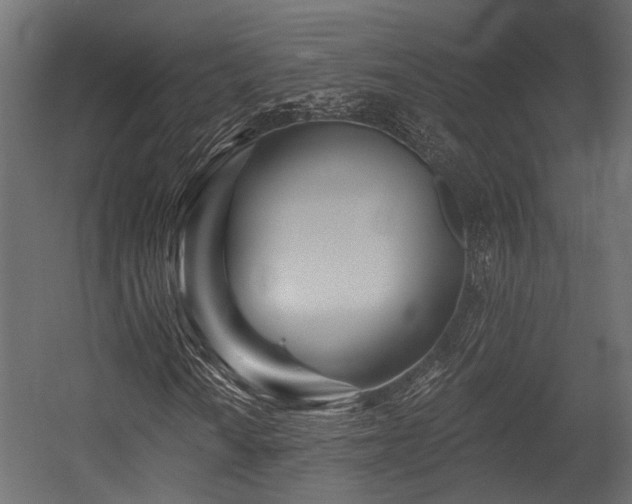 X0000054441010200507291312