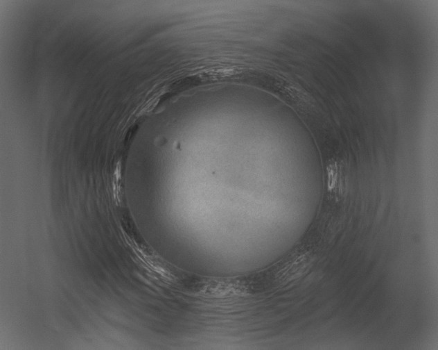 X0000054441011200507291312