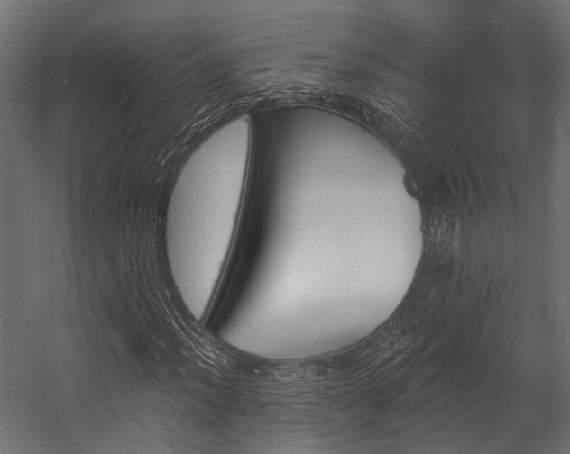 X0000054441012200507291312