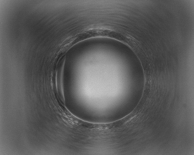 X0000054441014200507291312