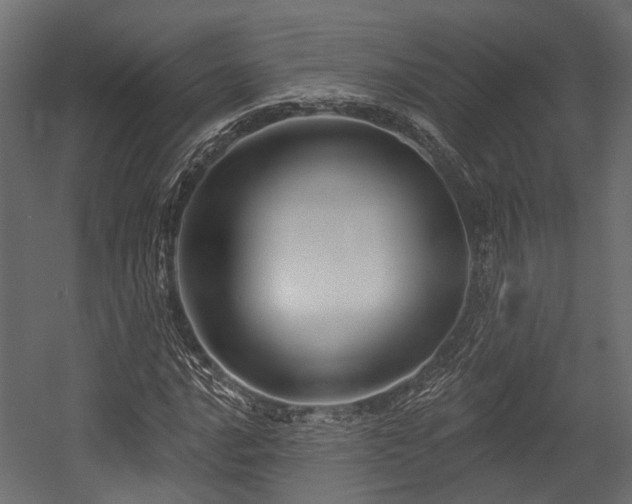 X0000054441016200507291312