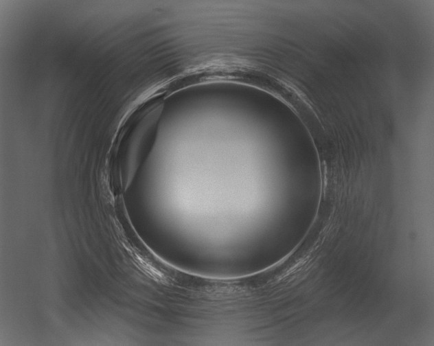 X0000054441018200507291312
