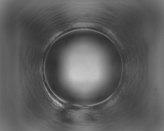 X0000054441033200507291312