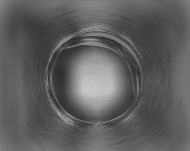 X0000054441034200507291312