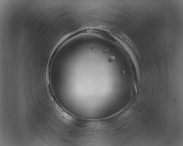 X0000054441036200507291312