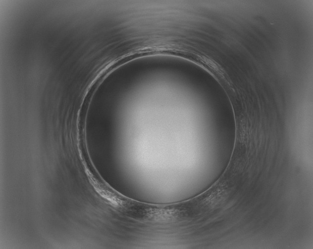 X0000054441039200507291312