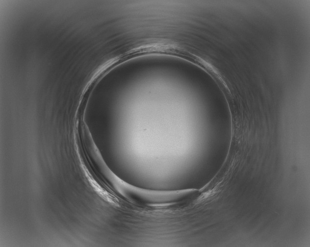 X0000054441042200507291312