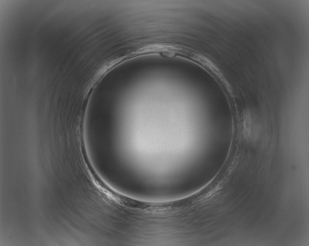 X0000054441049200507291312