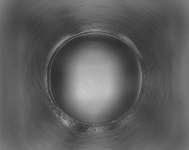 X0000054441051200507291312