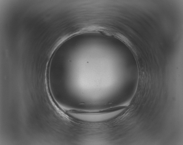 X0000054441055200507291313