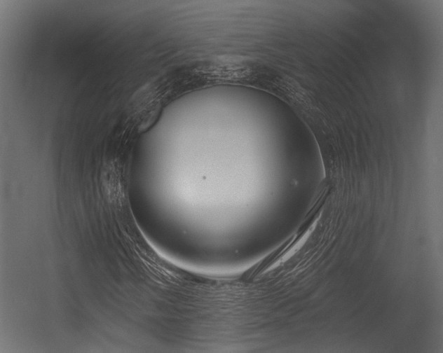 X0000054441058200507291312