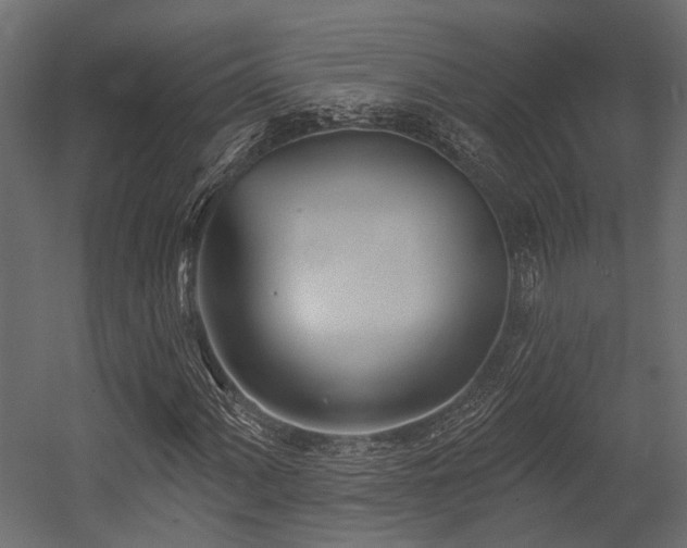 X0000054441060200507291312