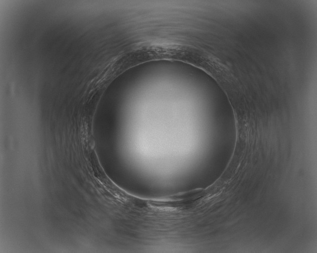 X0000054441061200507291312