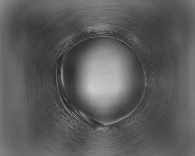 X0000054441062200507291312