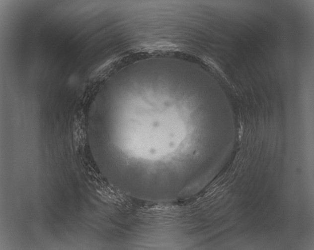 X0000054441063200507291312