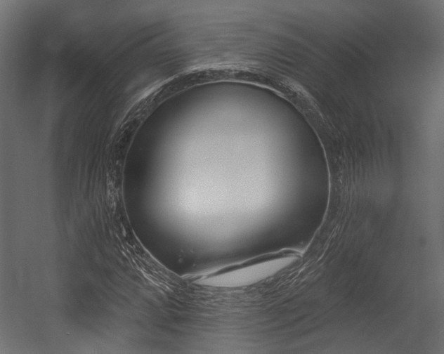 X0000054441064200507291312