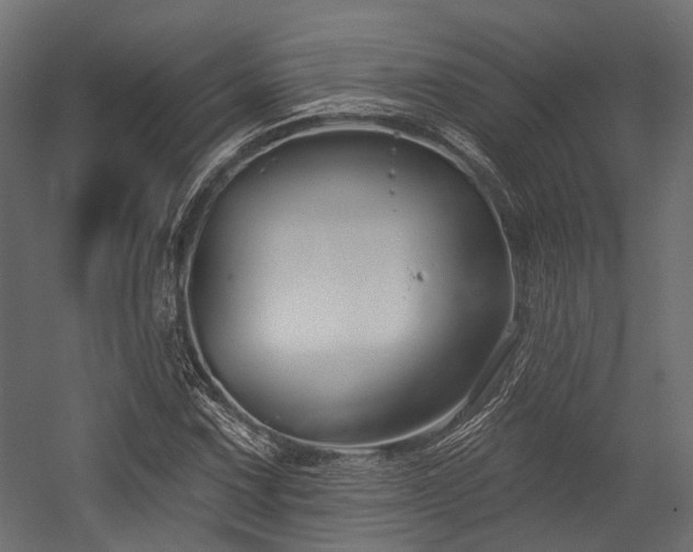 X0000054441067200507291312