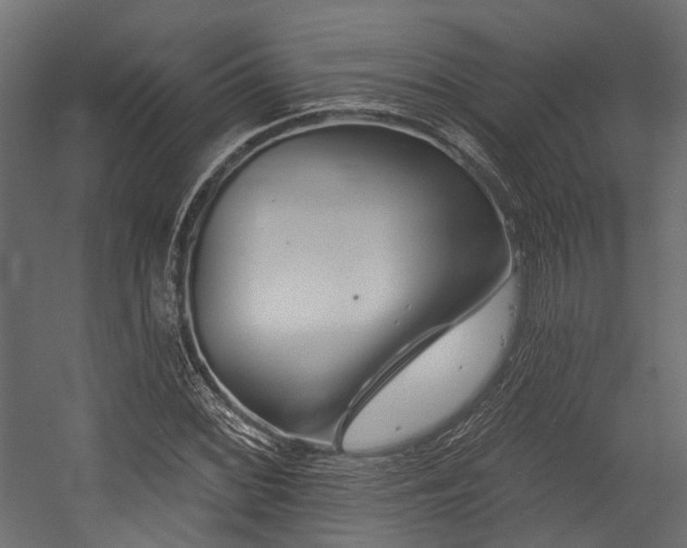 X0000054441068200507291312