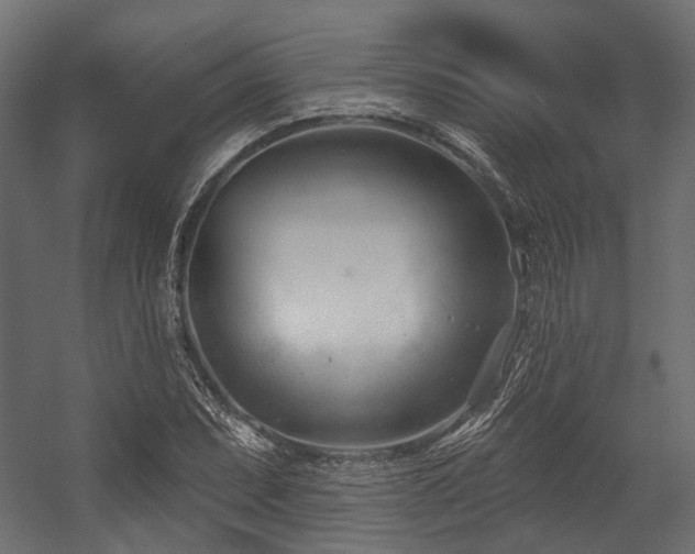 X0000054441071200507291312