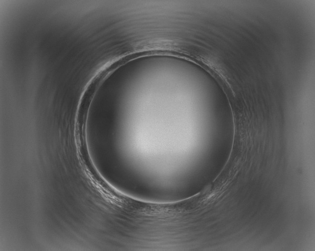 X0000054441072200507291311