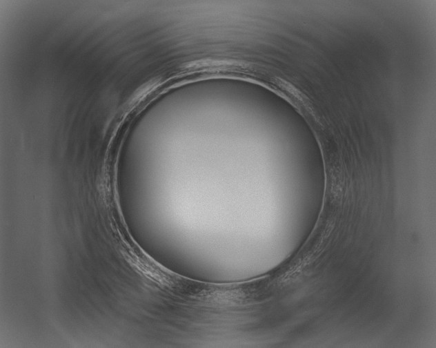 X0000054441074200507291311