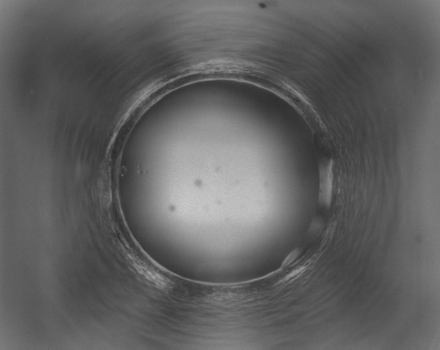 X0000054441075200507291311