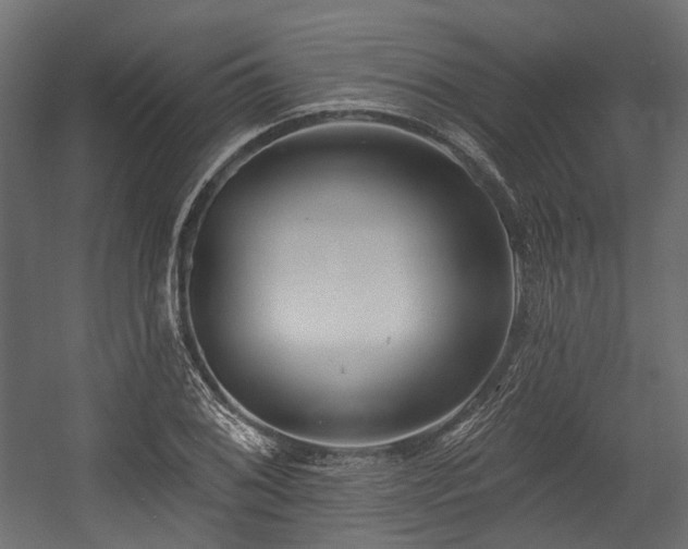 X0000054441076200507291311