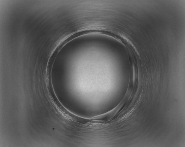 X0000054441077200507291311