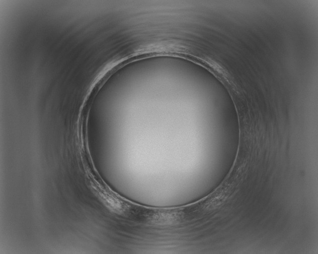 X0000054441078200507291311