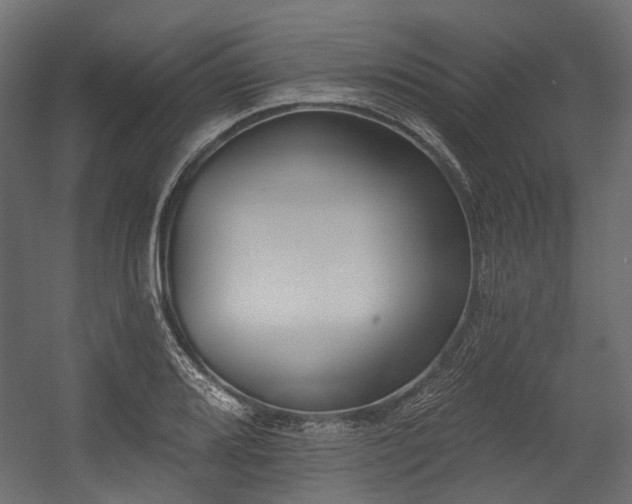 X0000054441080200507291311