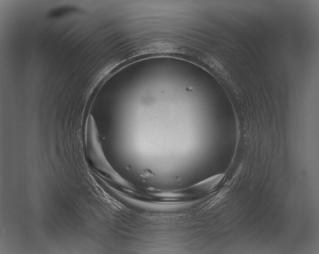 X0000054441081200507291311